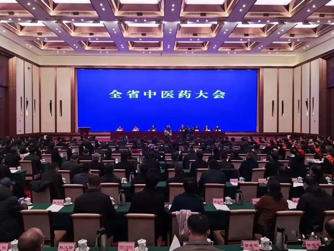 见证盛典，公司应邀参加 湖南省中医药大会